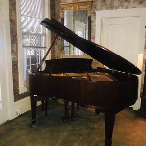 Meet your Posher, Paulette